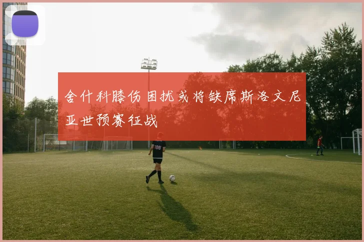 舍什科膝伤困扰或将缺席斯洛文尼亚世预赛征战
